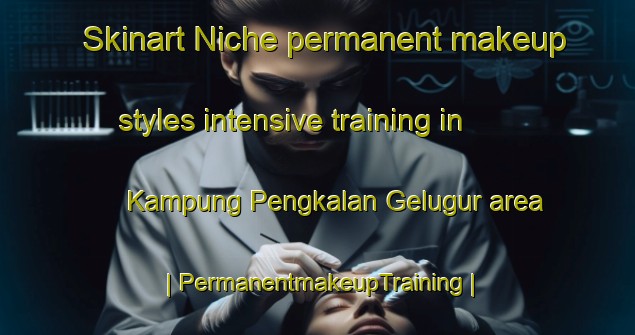 Skinart Niche permanent makeup styles intensive training in Kampung Pengkalan Gelugur area | PermanentmakeupTraining | PermanentmakeupClasses | SkinartTraining-Malaysia